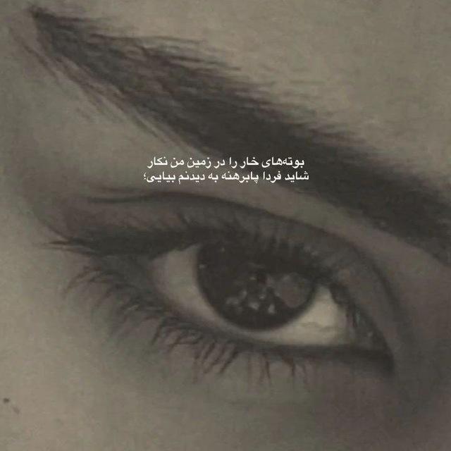 حرف دل