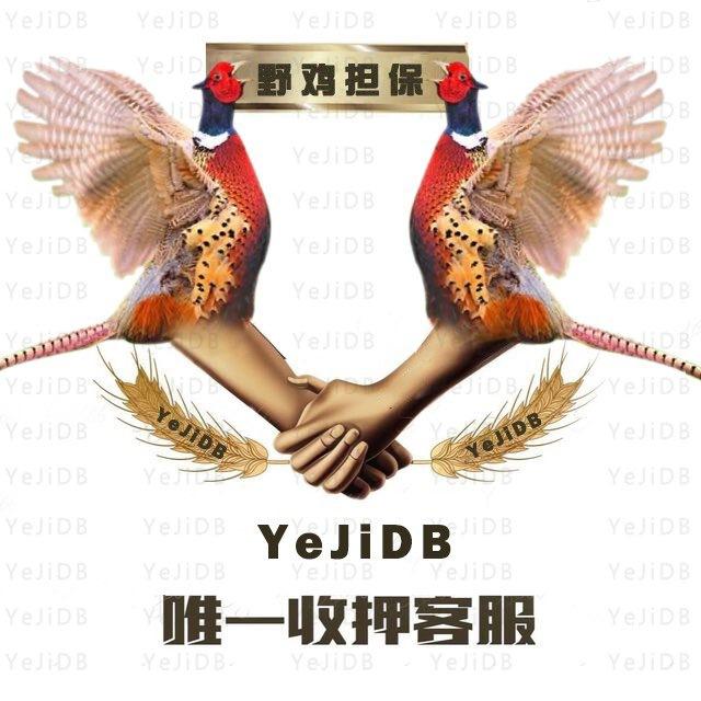 📣“野鸡供需”👉各大担保的噩梦