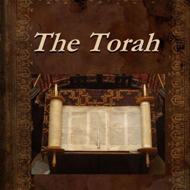 Learn Biblical Hebrew Beginner