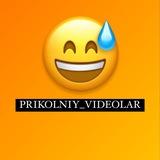 Prikol videolar