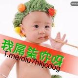 Diu7贏錢莖過引 心水分享