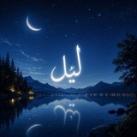 ليل 🖤✨