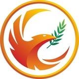 Реабилитация и спортивная медицина