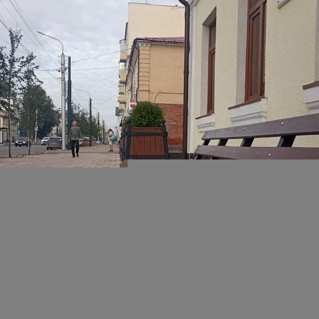 Блоха|Антидневник