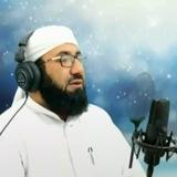 تلاوت شیخ محمدیان، مقامات قرآنی و تجوید