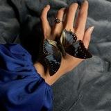 پروانه‌ آبی🦋"