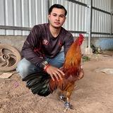🐓❤️ទ្រុងបក្សីតូចល្វាឯម❤️🐓