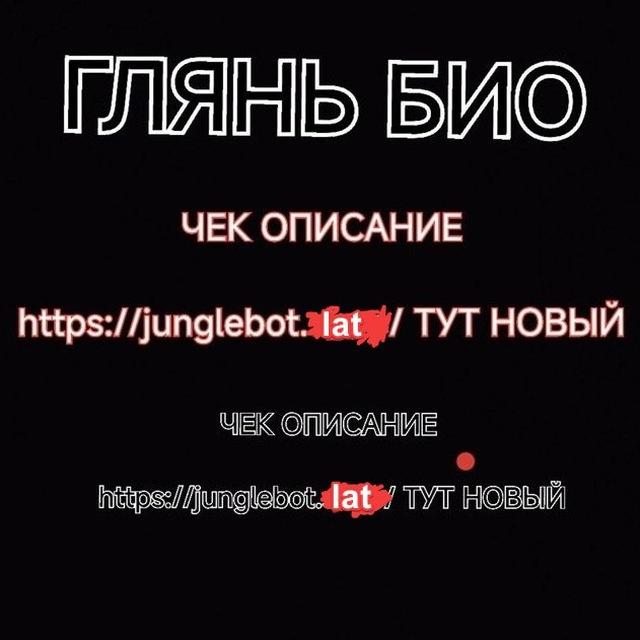Jungle | НОВЫЙ ТУТ junglebot.lat