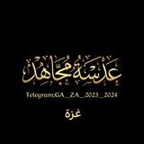 عدسة مجاهد - غزة