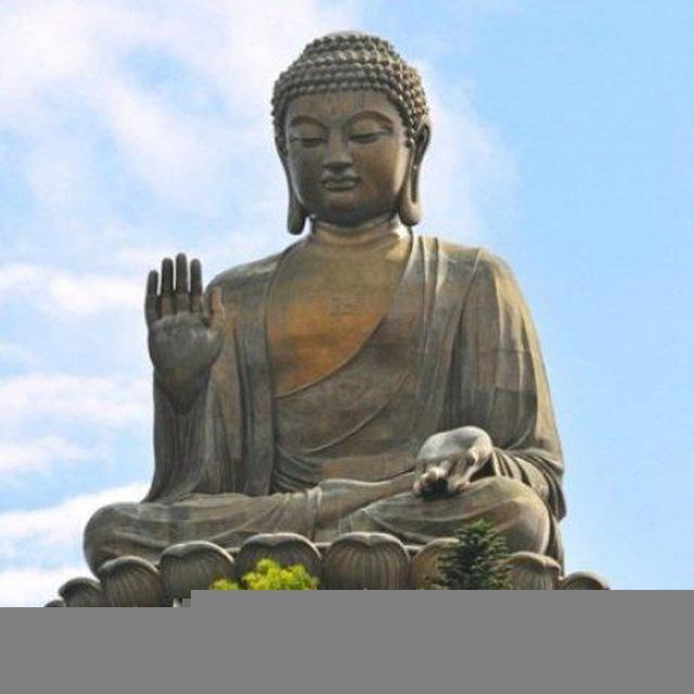 🌿 Vipassana Yatra 🧘‍♂️