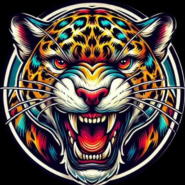 👑JAGUAR TEAM👑