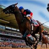 👑天王™️ Bo Beh Zao/Horse Racing Asia (SG, MY, Macau) 赛马讨论区🐎