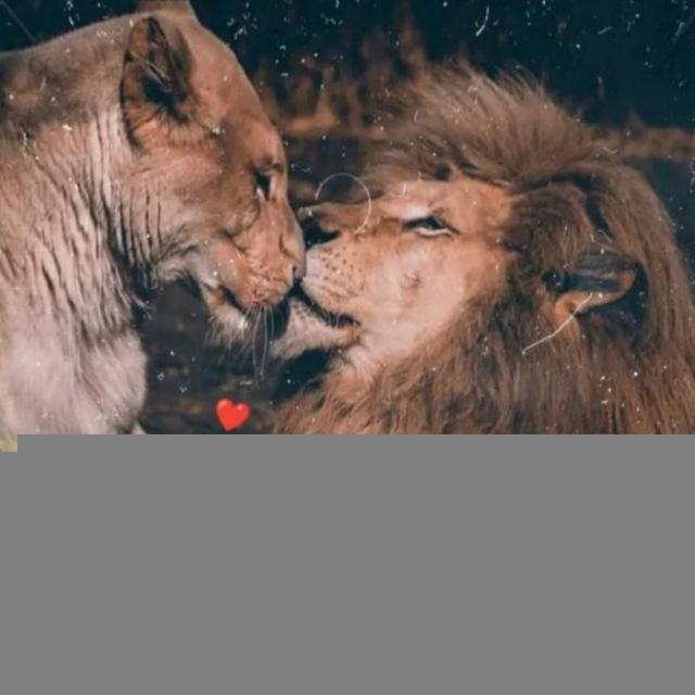 قربون صدقه