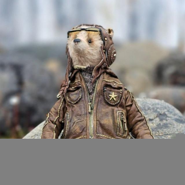 Fedor Explorer