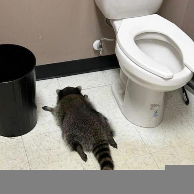 ХиханькиХаханьки
