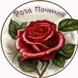 Роза Почтой