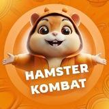 Hamster Kombat هامستر المهام اليومية