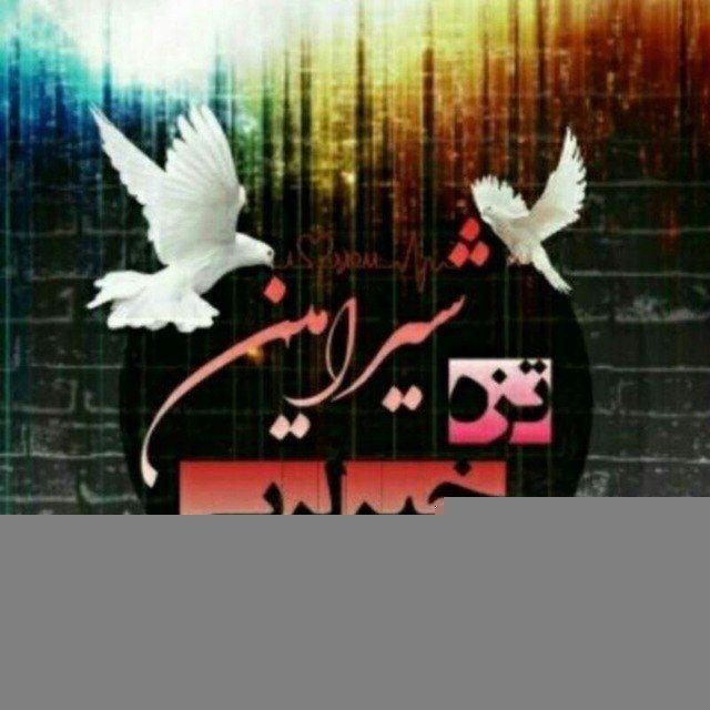 👌شیرامین تزه خبرلری👌