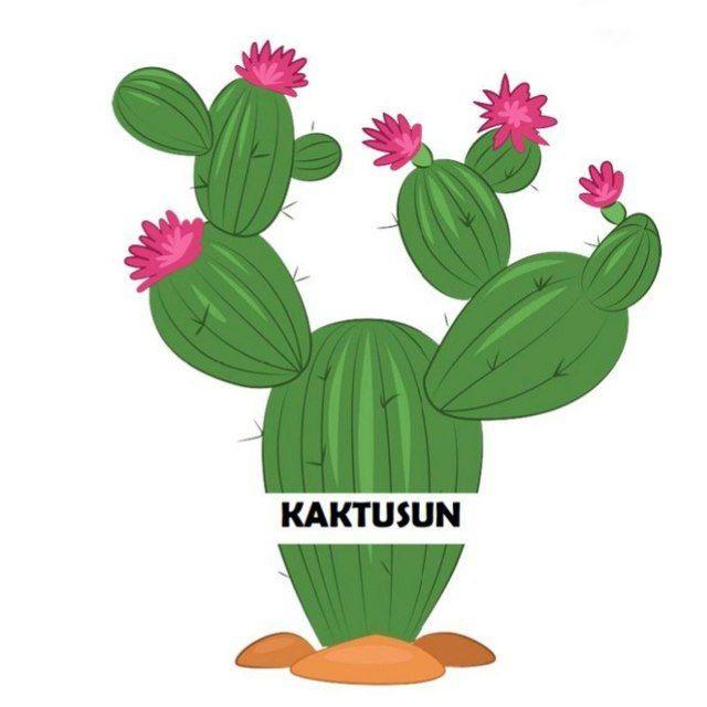 Kaktüs v2.0