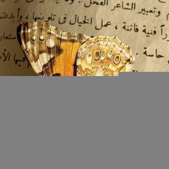 Light ، نُـــ🎀ـور