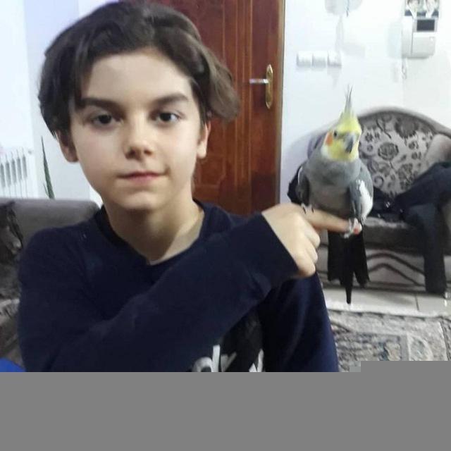 پروانه‌ی یوتا