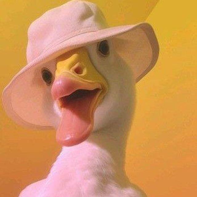 ᷂لـ ᷂بطوش