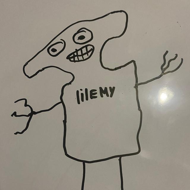lilemy борьба с нищетой (пока проигрываю)🫩
