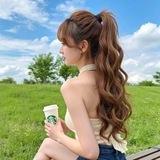 西西的后宫