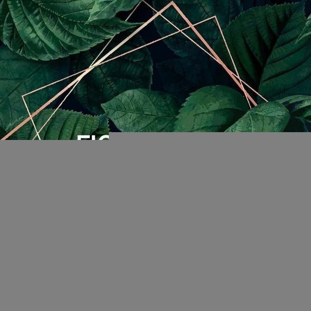 Фикус дома🌿 озеленение🌿 уход за растениями