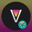 revanced magisk module