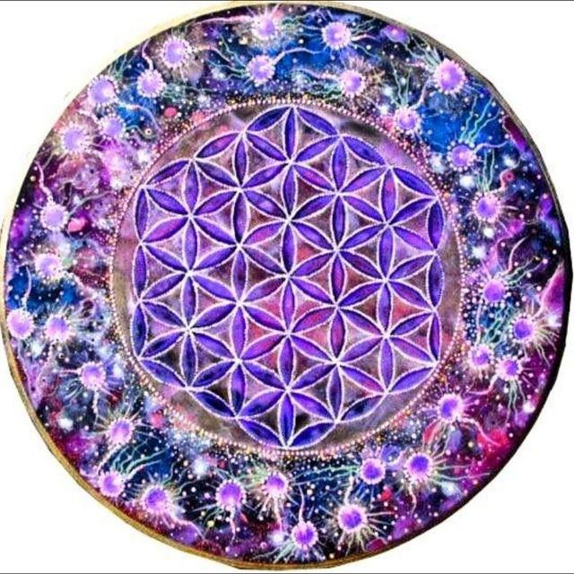 CHAMA VIOLETA 💜💜💜 💜 💜 💜 💜