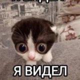 Околодекаданская, антимыслящая, дионисоублюдия