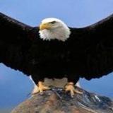 الكاسر