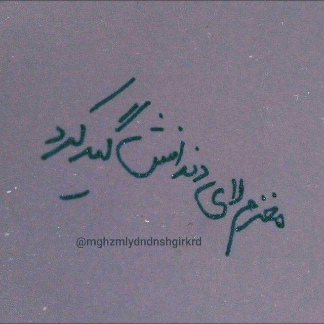 مغزم‌لای‌دندانش‌گیرکرد.