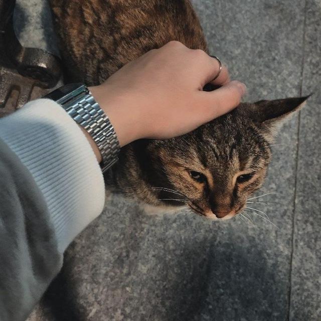 RUNAWAY