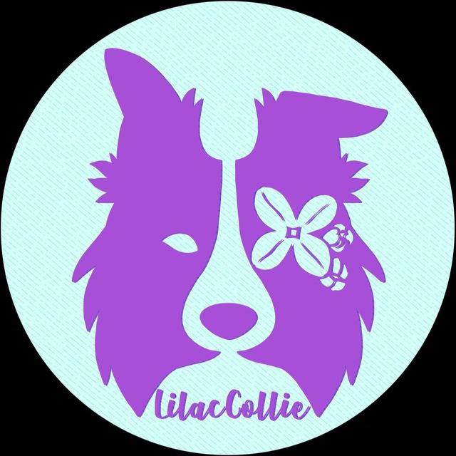 SFW/NSFW ✨LilacCollie Art’s & Plants 🌱🌿🪴✨