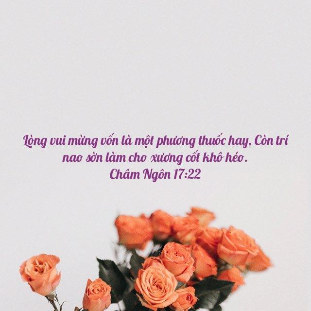 chữa lành
