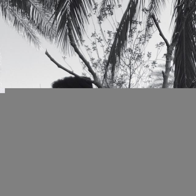 ۵