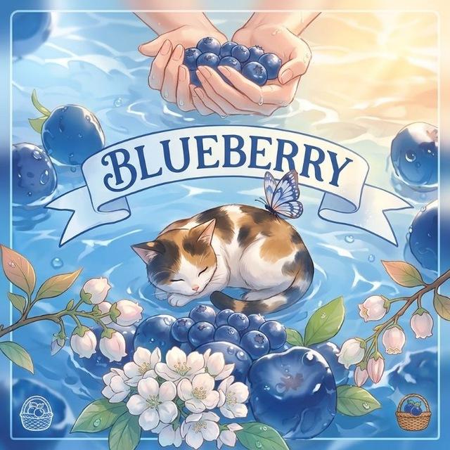 . ˚ ૮⑅ . . ა blueberry, 초겨울