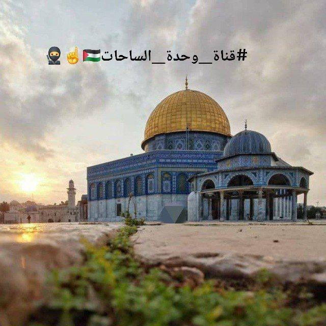 قناة وحدة الساحات 🇵🇸🥷🏻☝️