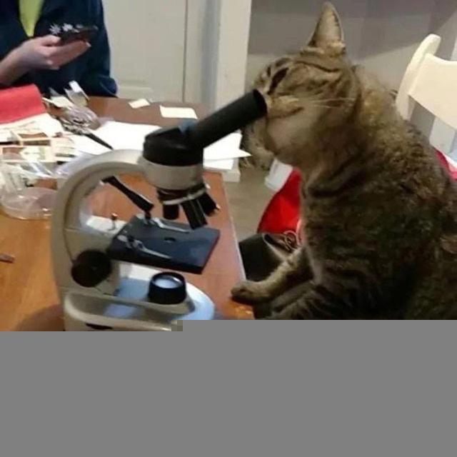 Кладбище фармы💊
