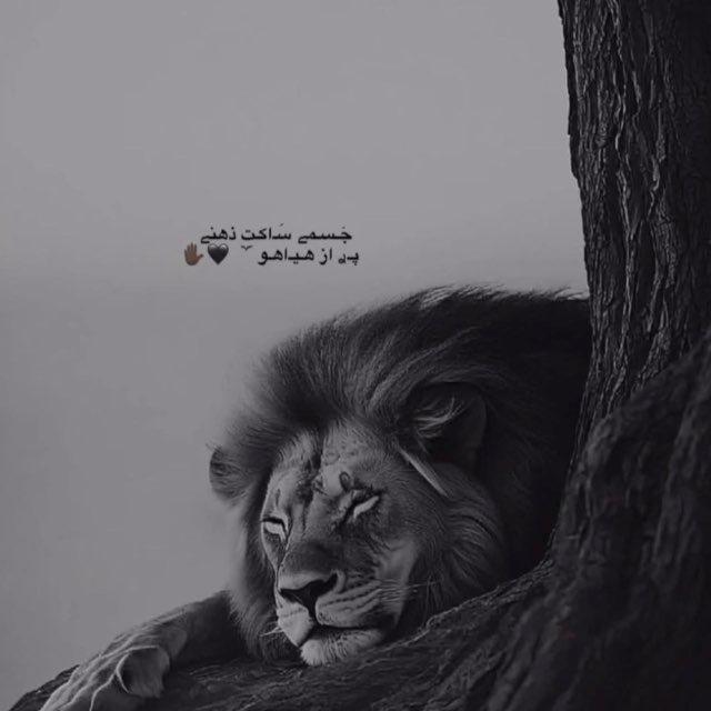 ● 𝓗𝓐𝓜_𝓚𝓐𝓛𝓐𝓜 ●