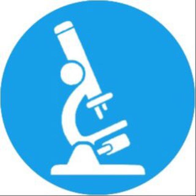 طلبة المرحلة الرابعة