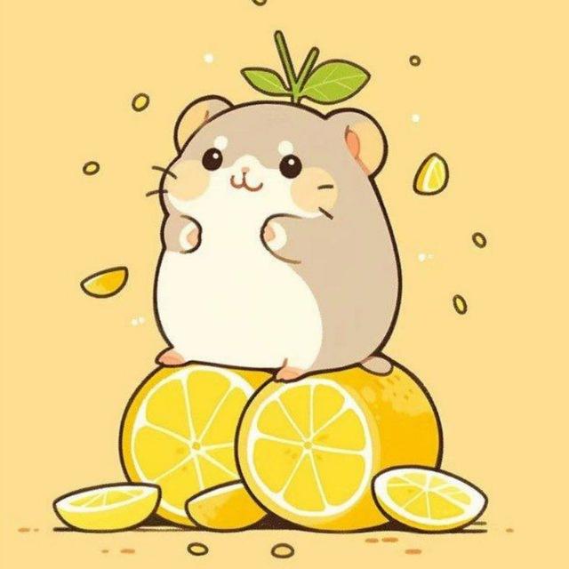 柠檬🍋跨境