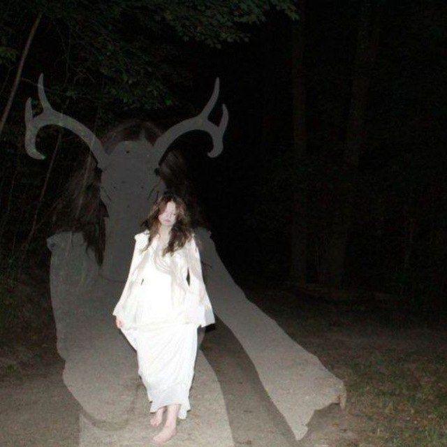 𝔖𝔢𝔢𝔨𝔦𝔫𝔤 𝔩𝔦𝔤𝔥𝔱 𝔦𝔫 𝔱𝔥𝔢 𝔡𝔞𝔯𝔨𝔫𝔢𝔰𝔰