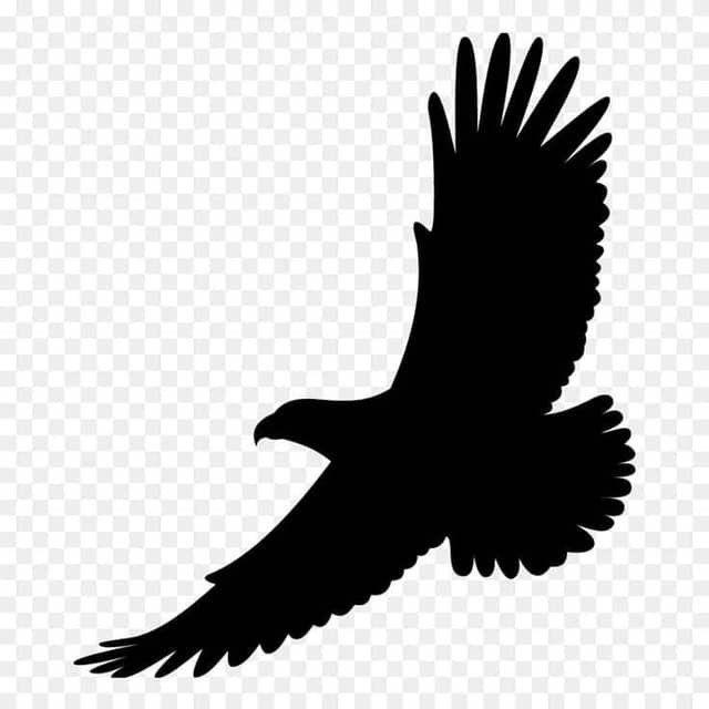 Blackbirdchannel