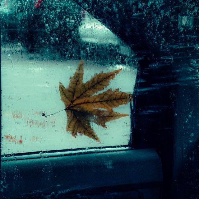 • Ambience •