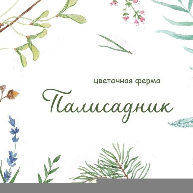 Палисадник | Цветы и букеты | Екатеринбург Косулино