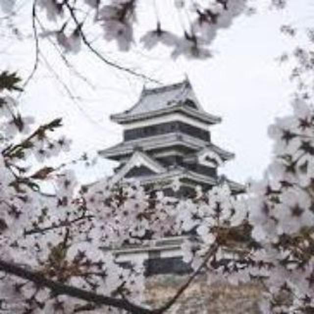 🎎 JAPAN Beauties