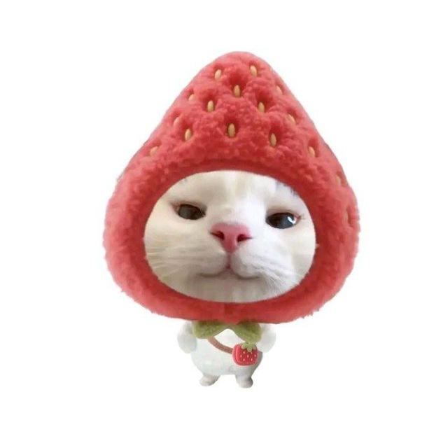 𝐑ess 𝐂onklin